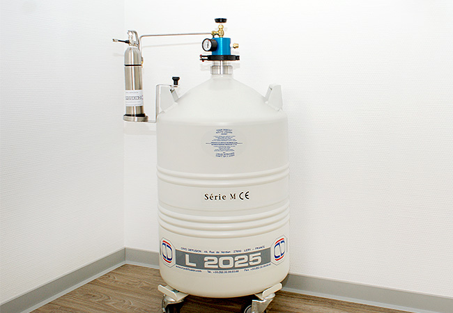 Ein Bild aus der Praxis